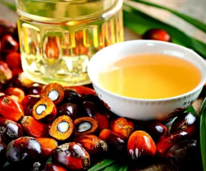Is-Palm-Oil-Bad-For-You