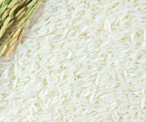est_web_header_template_rice2