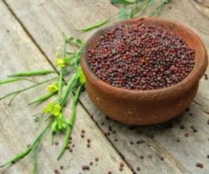 harvest-mustard-seeds-400x300