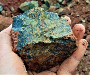 shutterstock_2007345989-1024x579